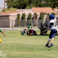 Austin Valdez #2