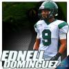Ednell Dominguez