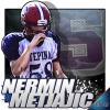 Nermin Metjajic