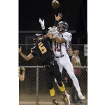 Braydon Besse