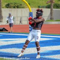 Noel Posey